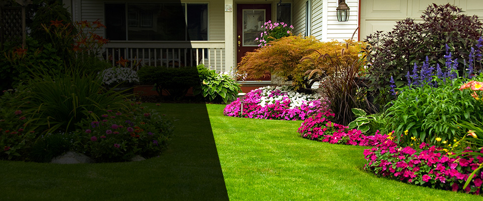 Colby Landscapers