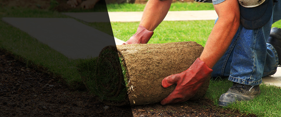 Colby Landscapers